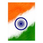 India Flag Mobile Skin