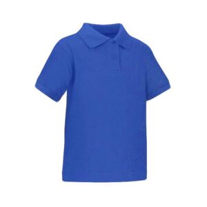 Corporate Sky Blue T-shirts and Bulk Orders