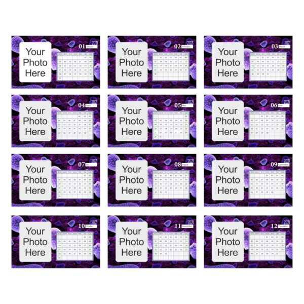 Valentine-Photo-Callender-Purple